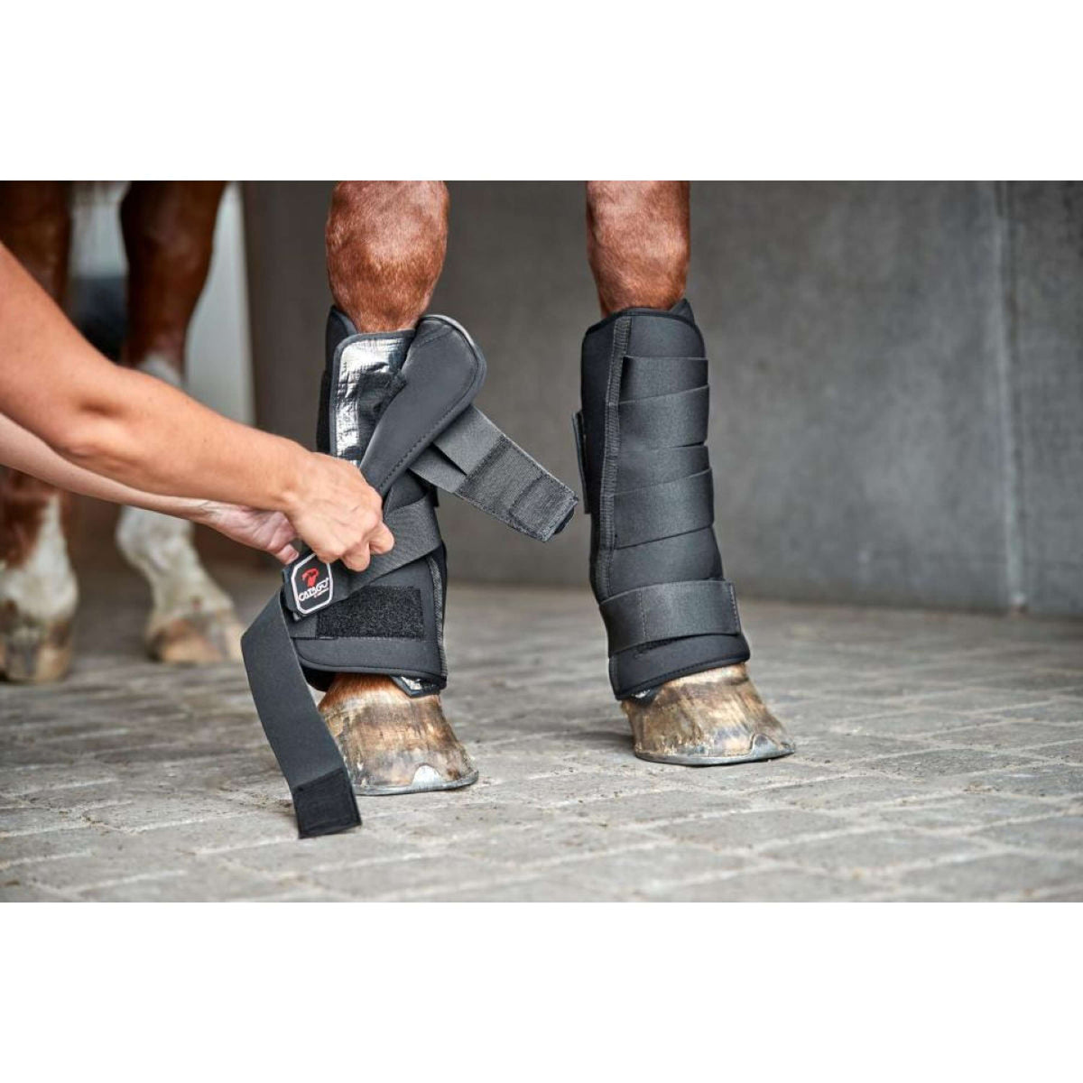Catago Neoprene Shell for Stable Boot Nero