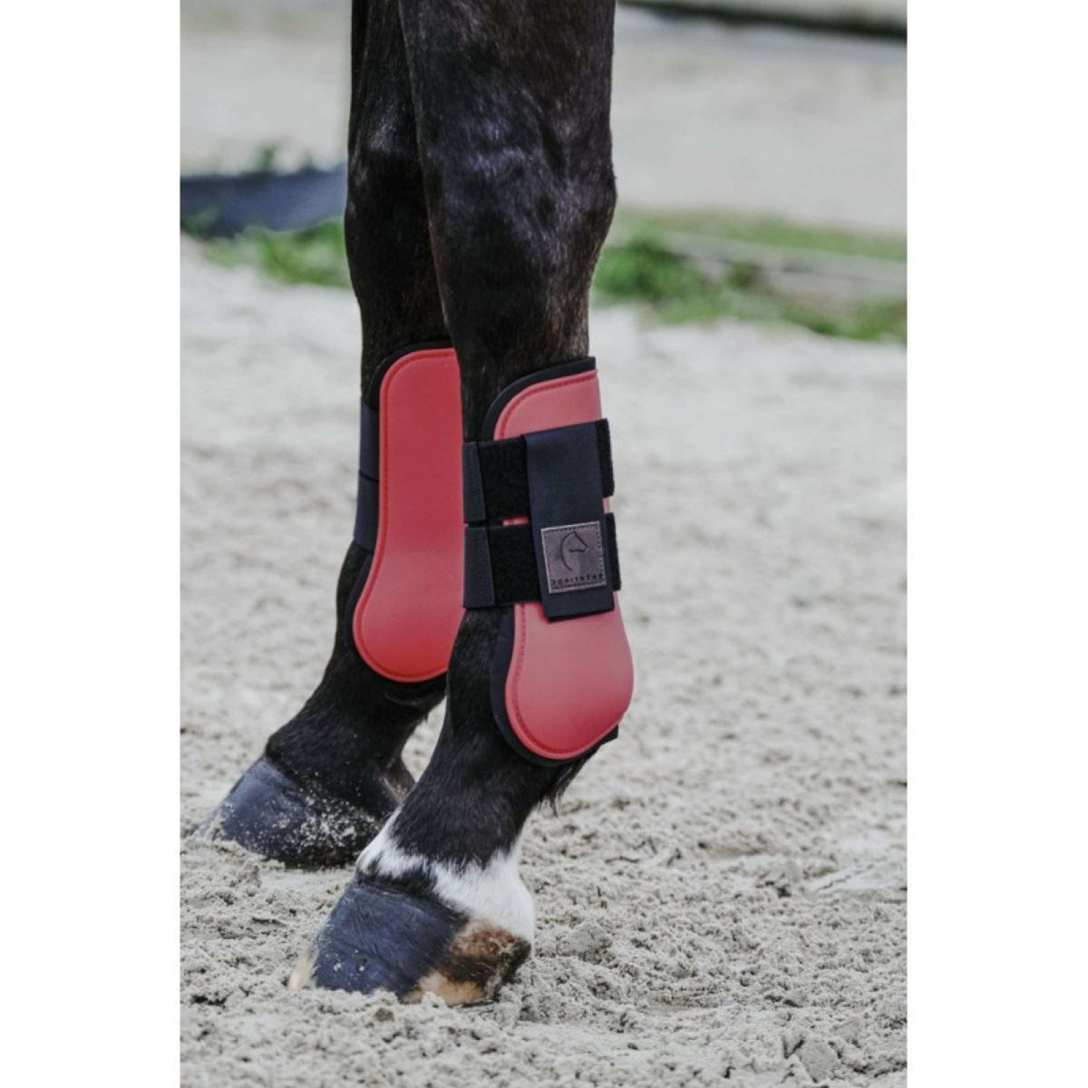 EQUITHÈME Stinchiere Rosso