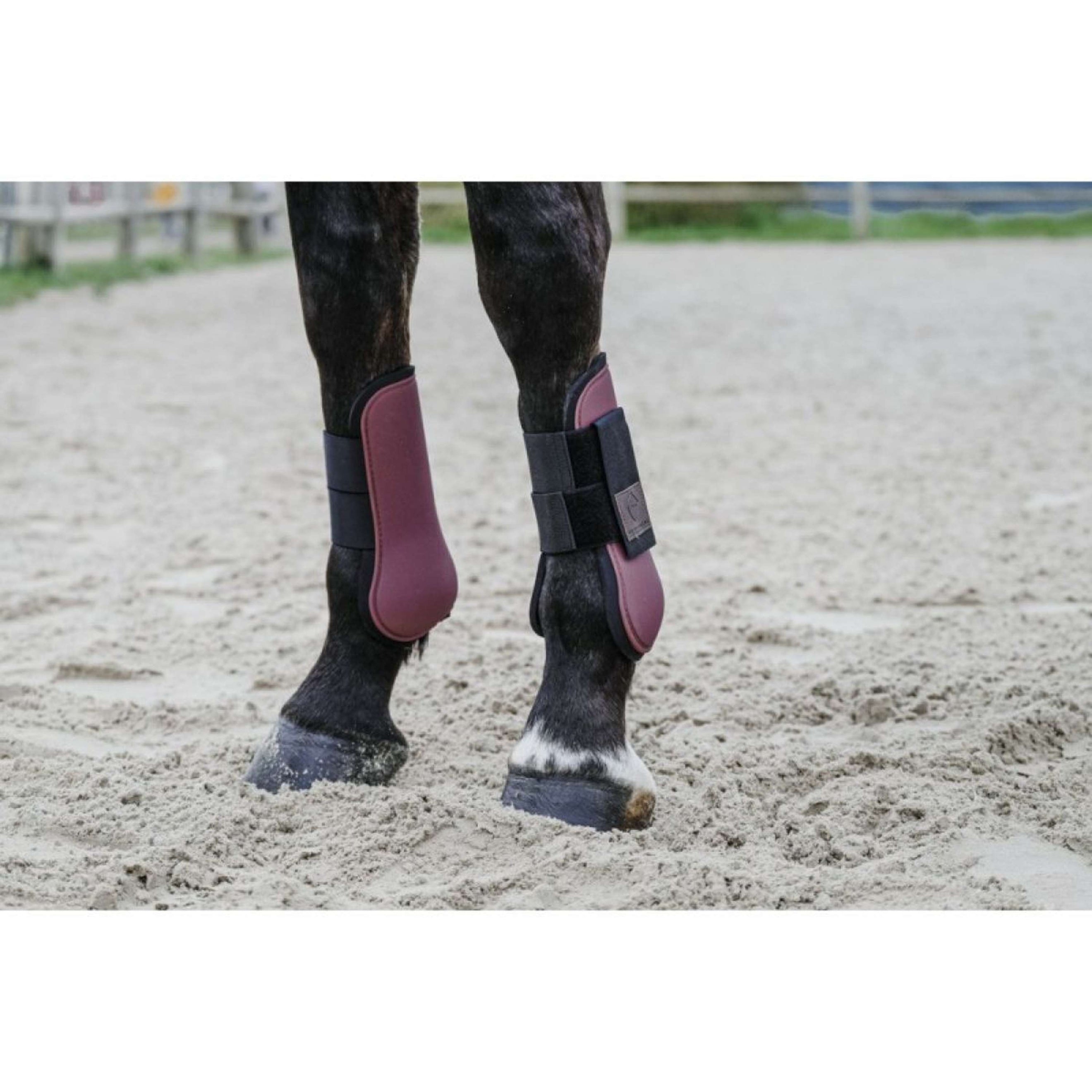EQUITHÈME Stinchiere Borgogna EQUITHÈME Stinchiere Borgogna