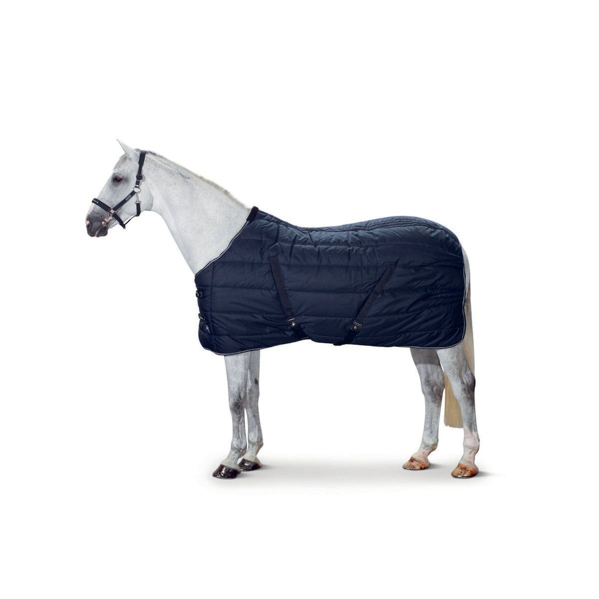 Eskadron Coperta da scuderia Antistrappo 200 g Navy