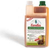 Ewalia Cuore e liquido circolatorio