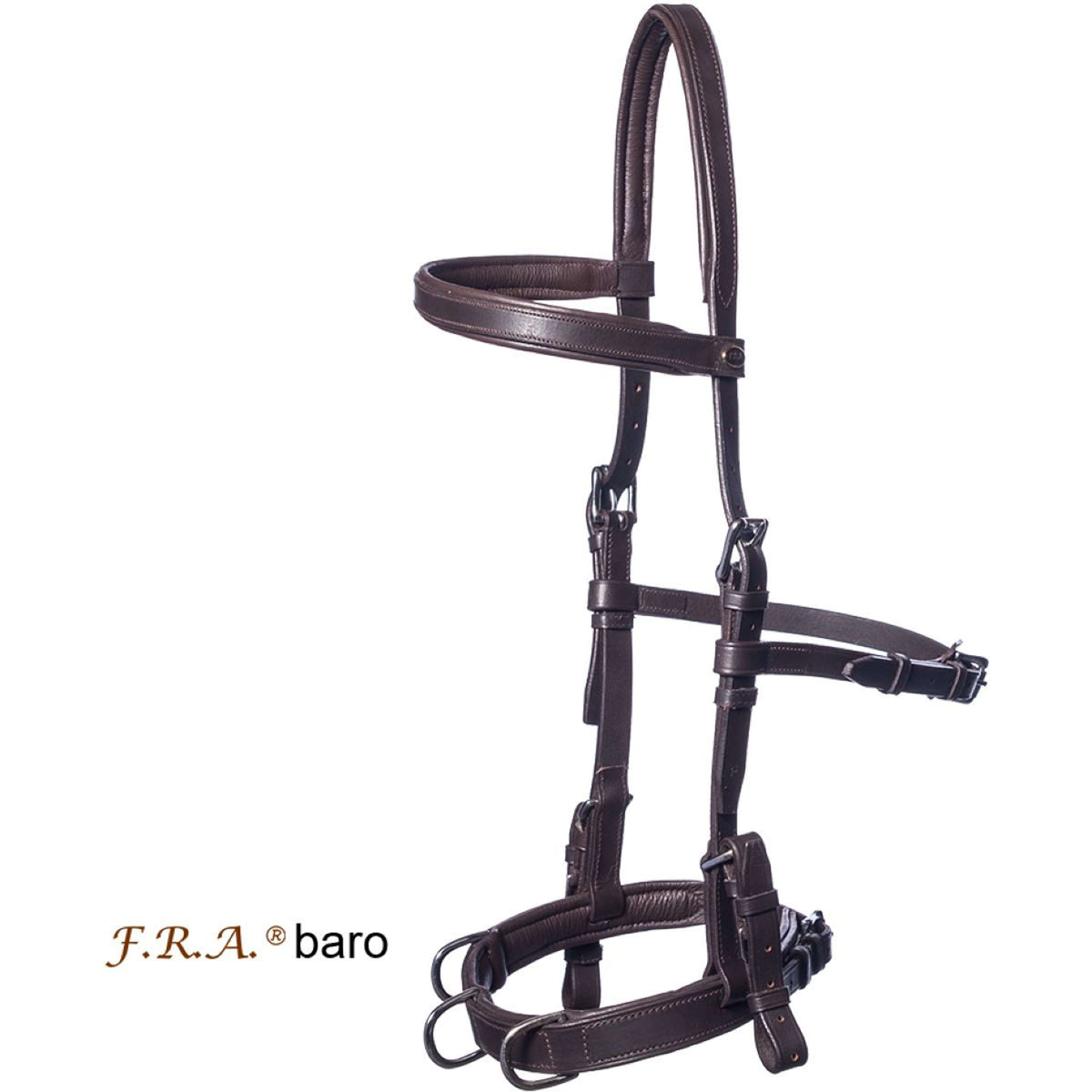 F.R.A. Cavezzone Baro L'Avana