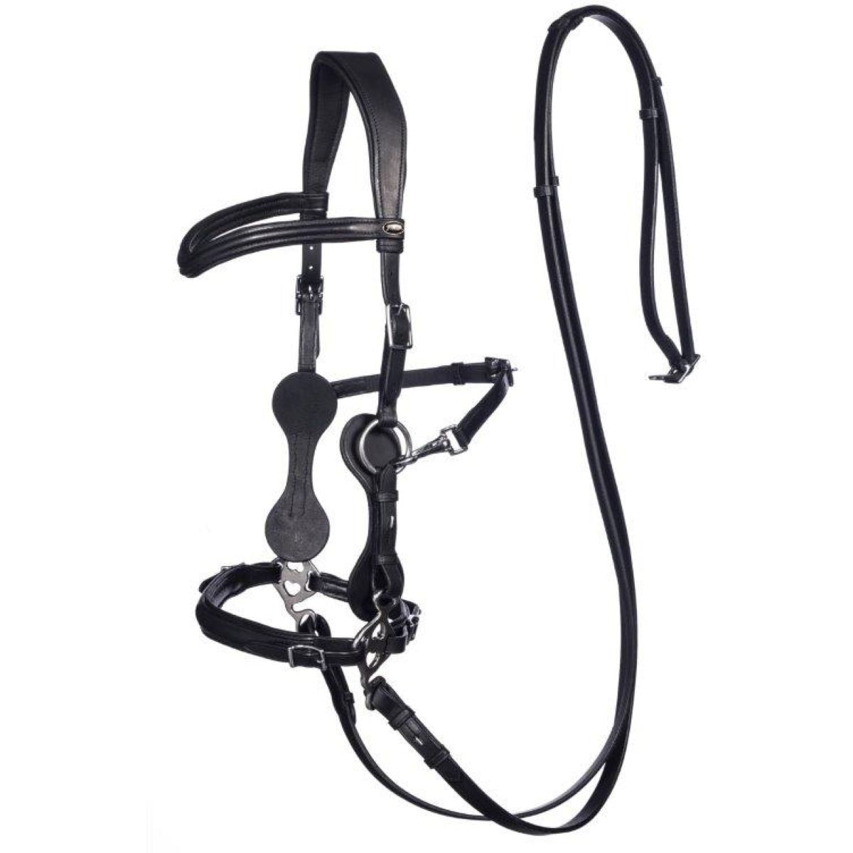 F.R.A. Hackamore Calli Nero