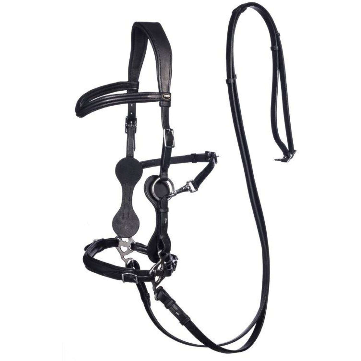 F.R.A. Hackamore Calli Nero