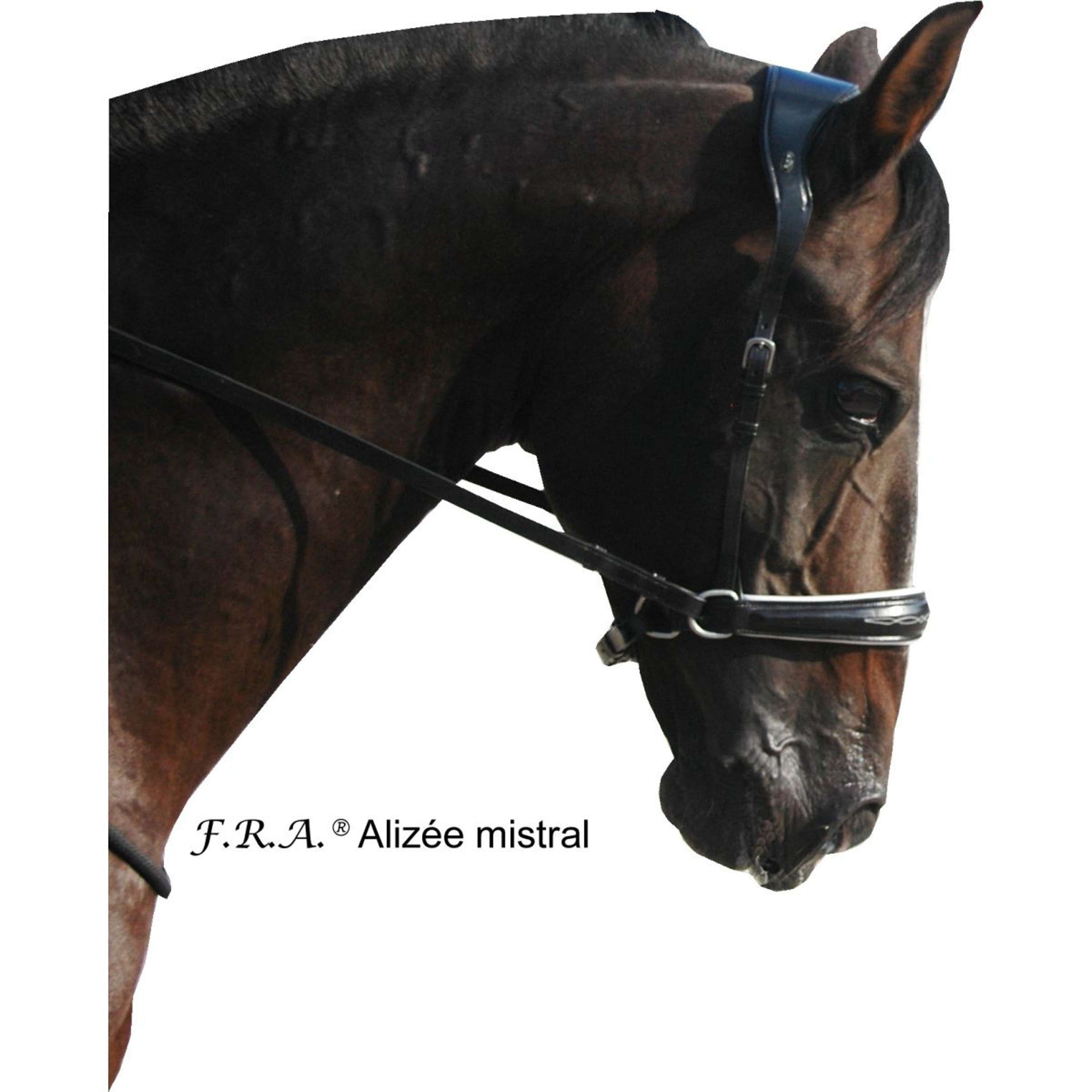 F.R.A. Briglia senza Morso Alizée Mistral Side Pull Nero/Bianco