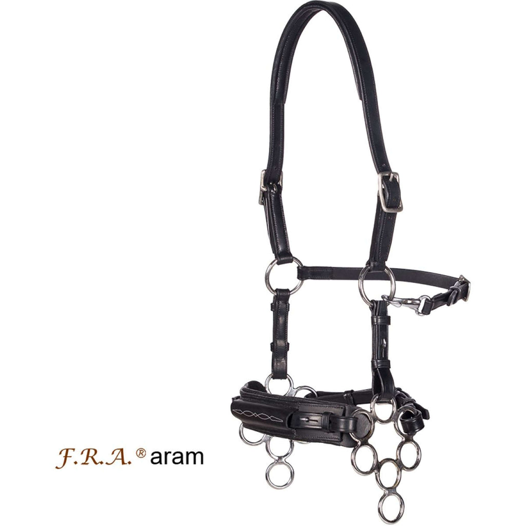 F.R.A. Hackamore Aram Nero
