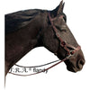 F.R.A. Briglia senza Morso Flandy Side Pull Marrone