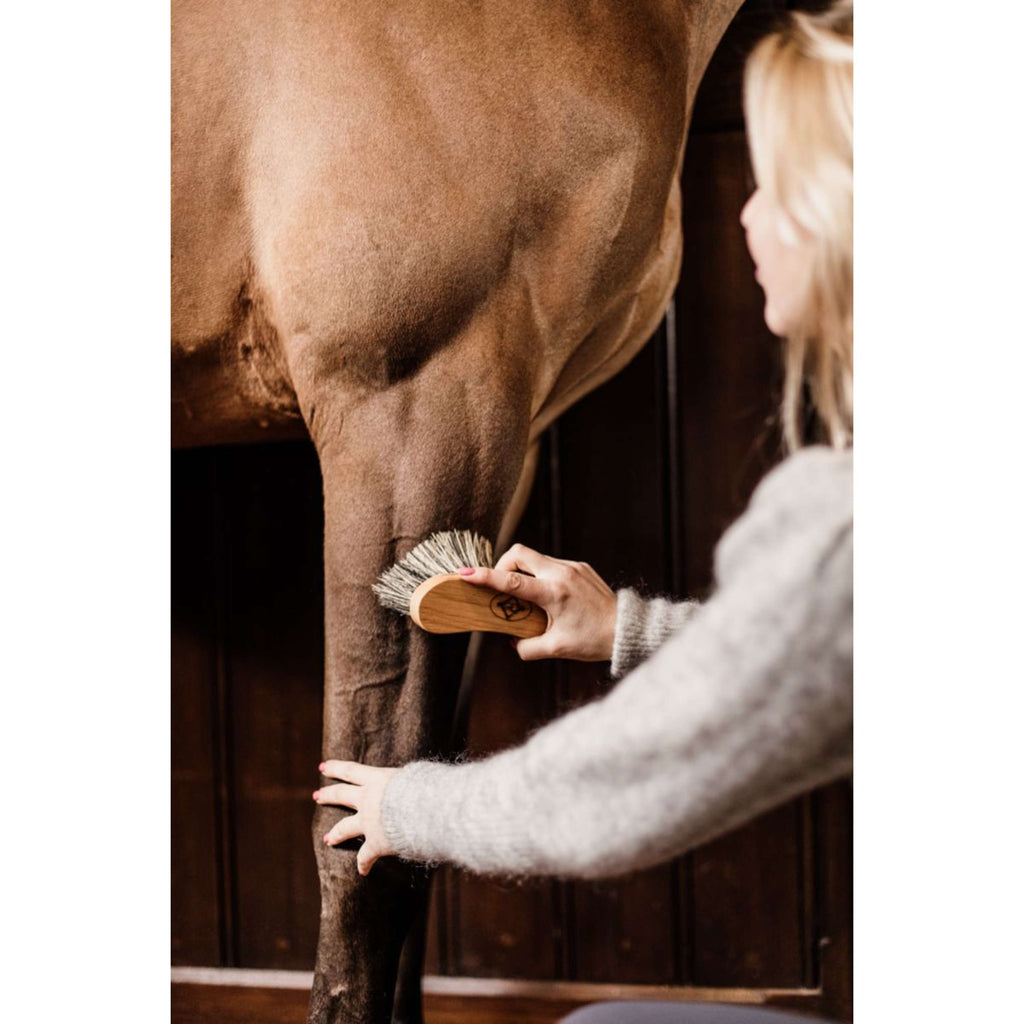 Grooming Deluxe by Kentucky Spazzola