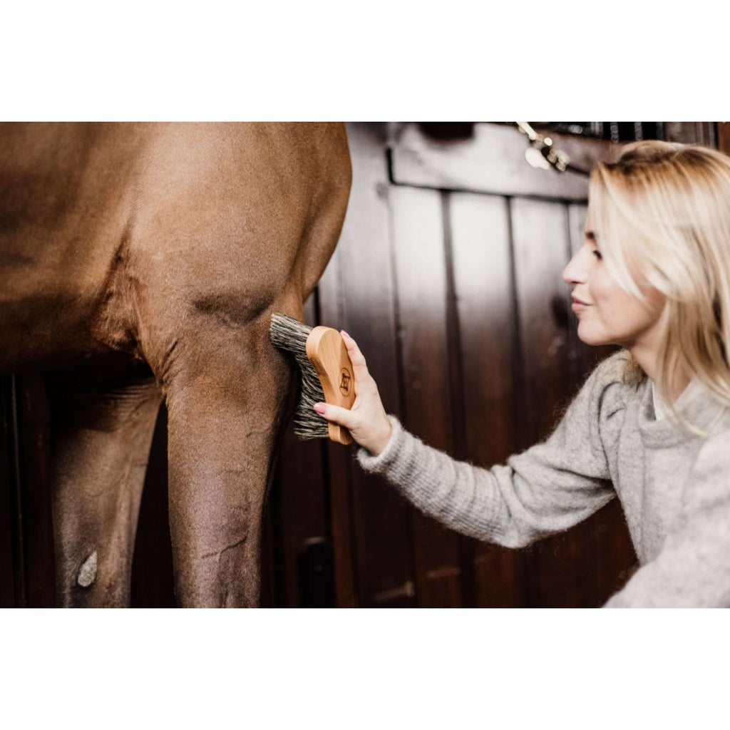 Grooming Deluxe by Kentucky Spazzola