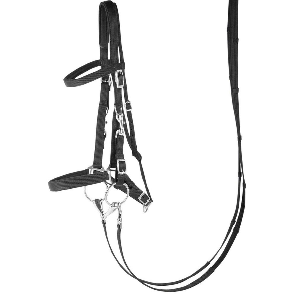 Harry's Horse Briglia/Capezzone Nero