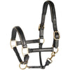 Harry's Horse Cavezza Pelle con Bordino Nero/oro