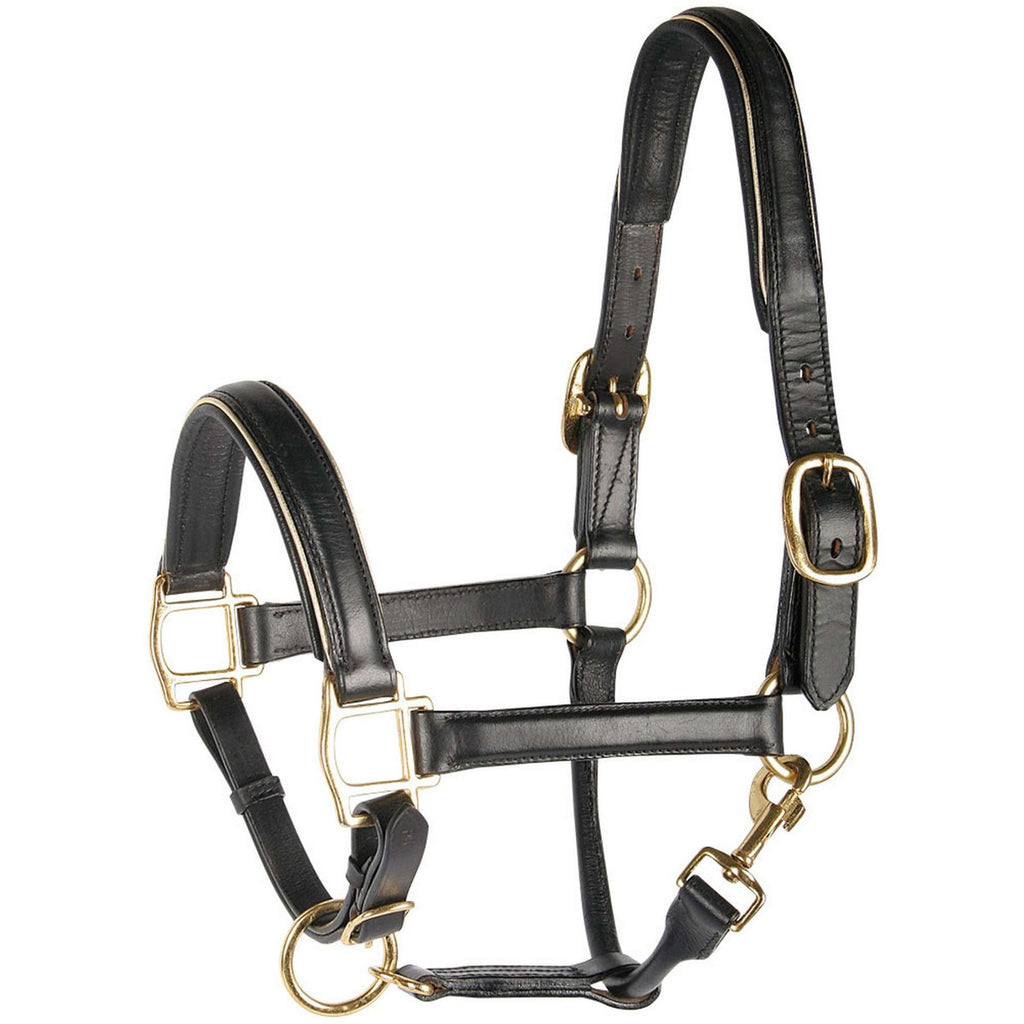 Harry's Horse Cavezza Pelle con Bordino Nero/oro