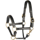 Harry's Horse Cavezza Pelle con Bordino Nero/oro