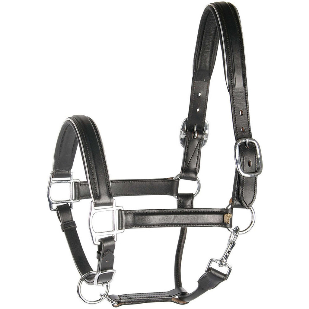 Harry's Horse Cavezza Pelle con Bordino Nero/Argento