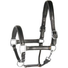 Harry's Horse Cavezza Pelle con Bordino Nero/Argento