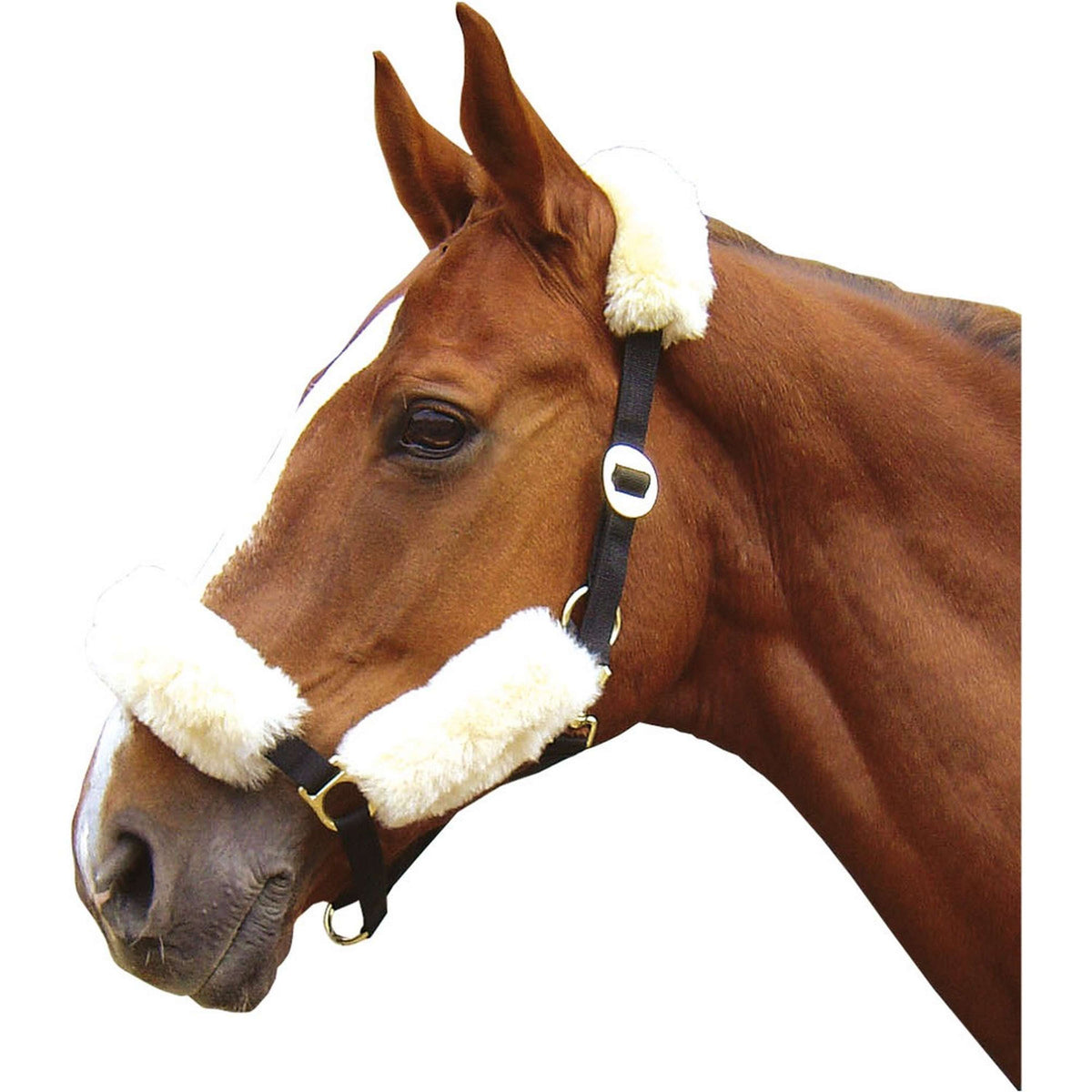 Harry's Horse Capezzina Naturale