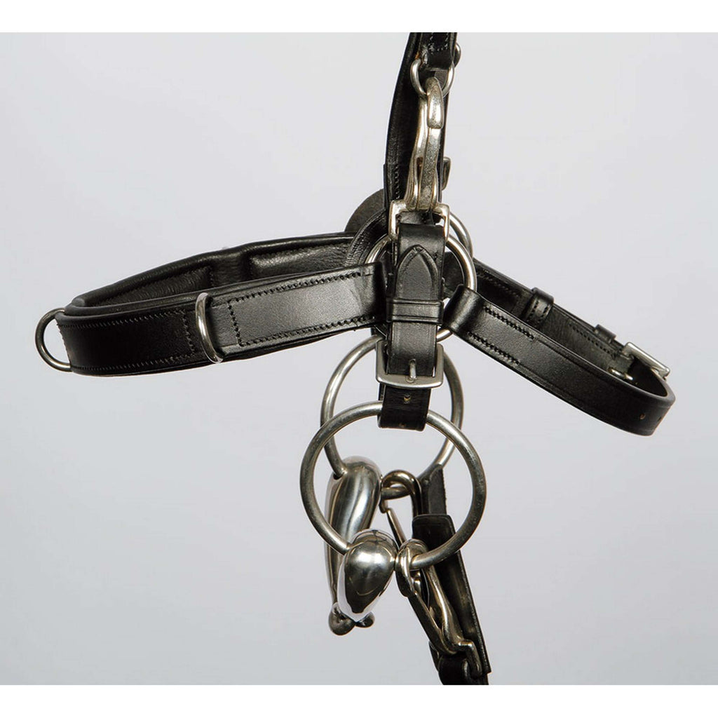 Harry's Horse Capezza Leder Nero