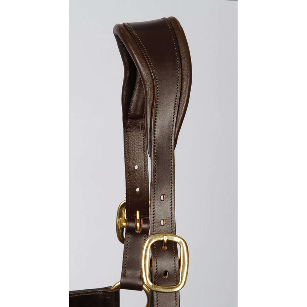 Harry's Horse Cavezza Marrone