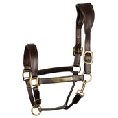 Harry's Horse Capezzina Marrone