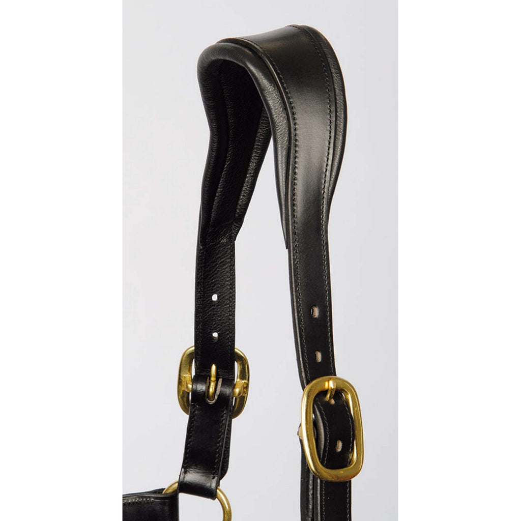Harry's Horse Cavezza Pelle Anatomica Nero