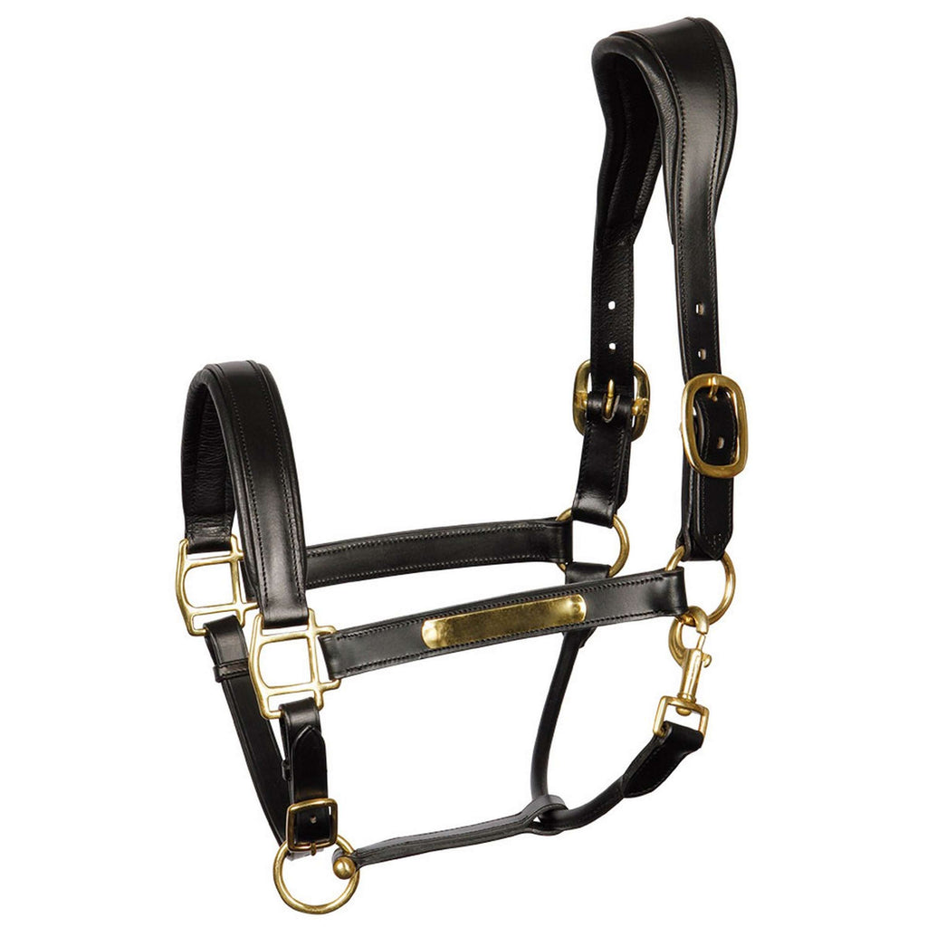 Harry's Horse Cavezza Pelle Anatomica Nero