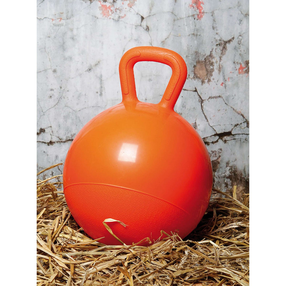 Harry's Horse Pallone da Gioco Arancia