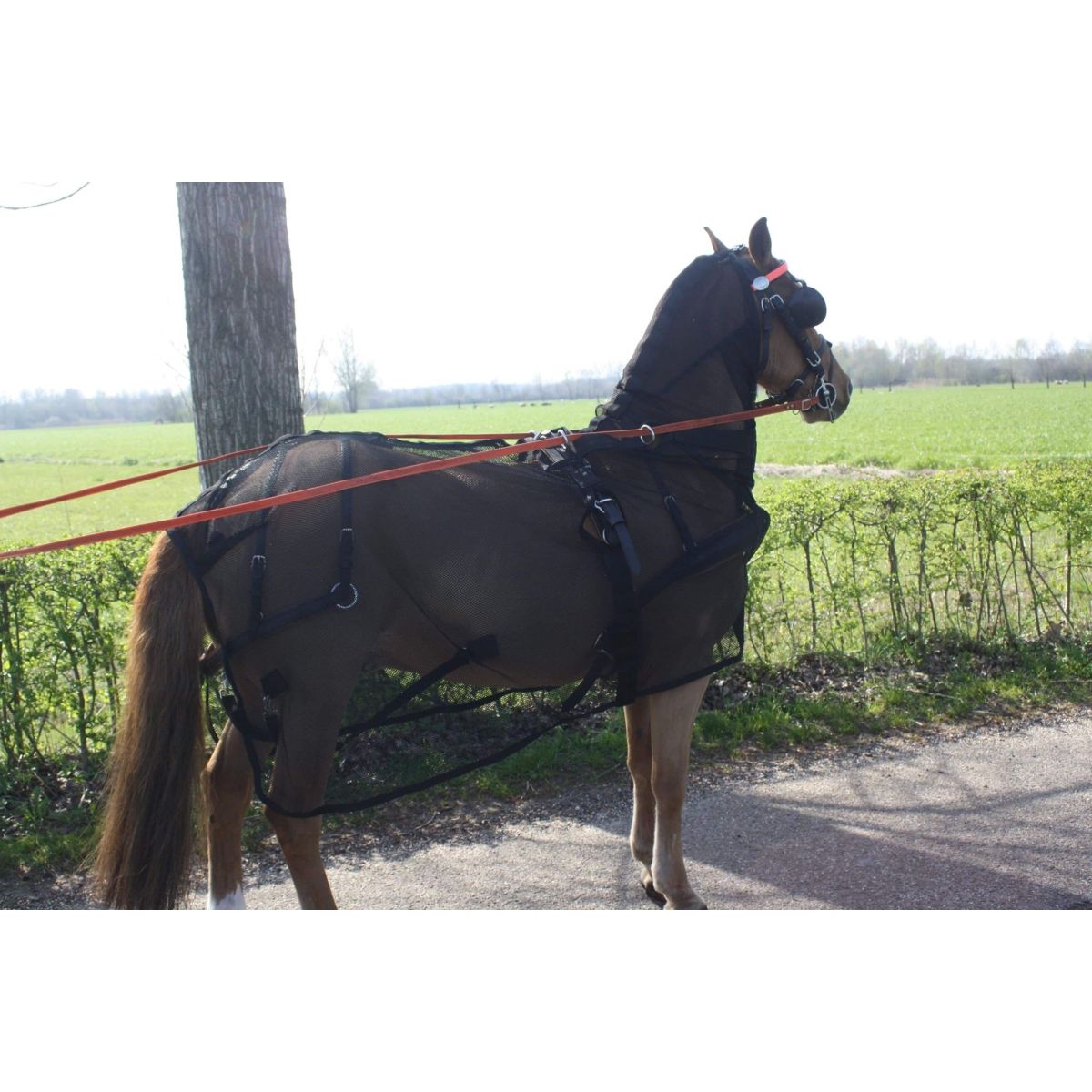 HB Coperta Antimosche per attacchi con collo Nero