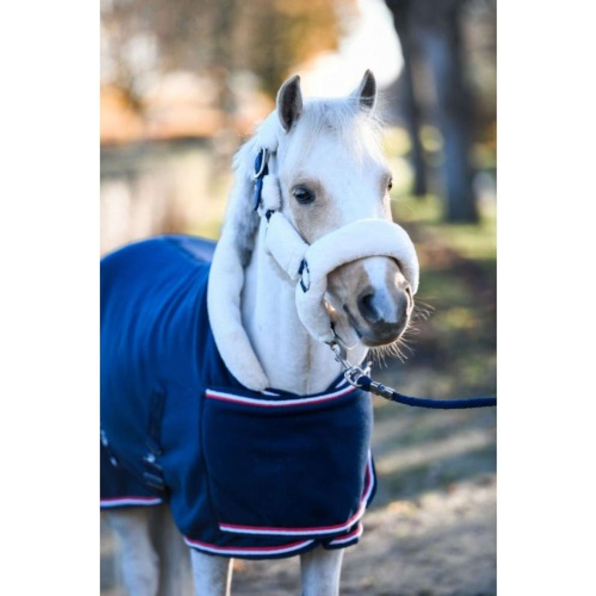 HB Ruitersport Coperta da esposizione Dutch Crown Little Sizes Navy