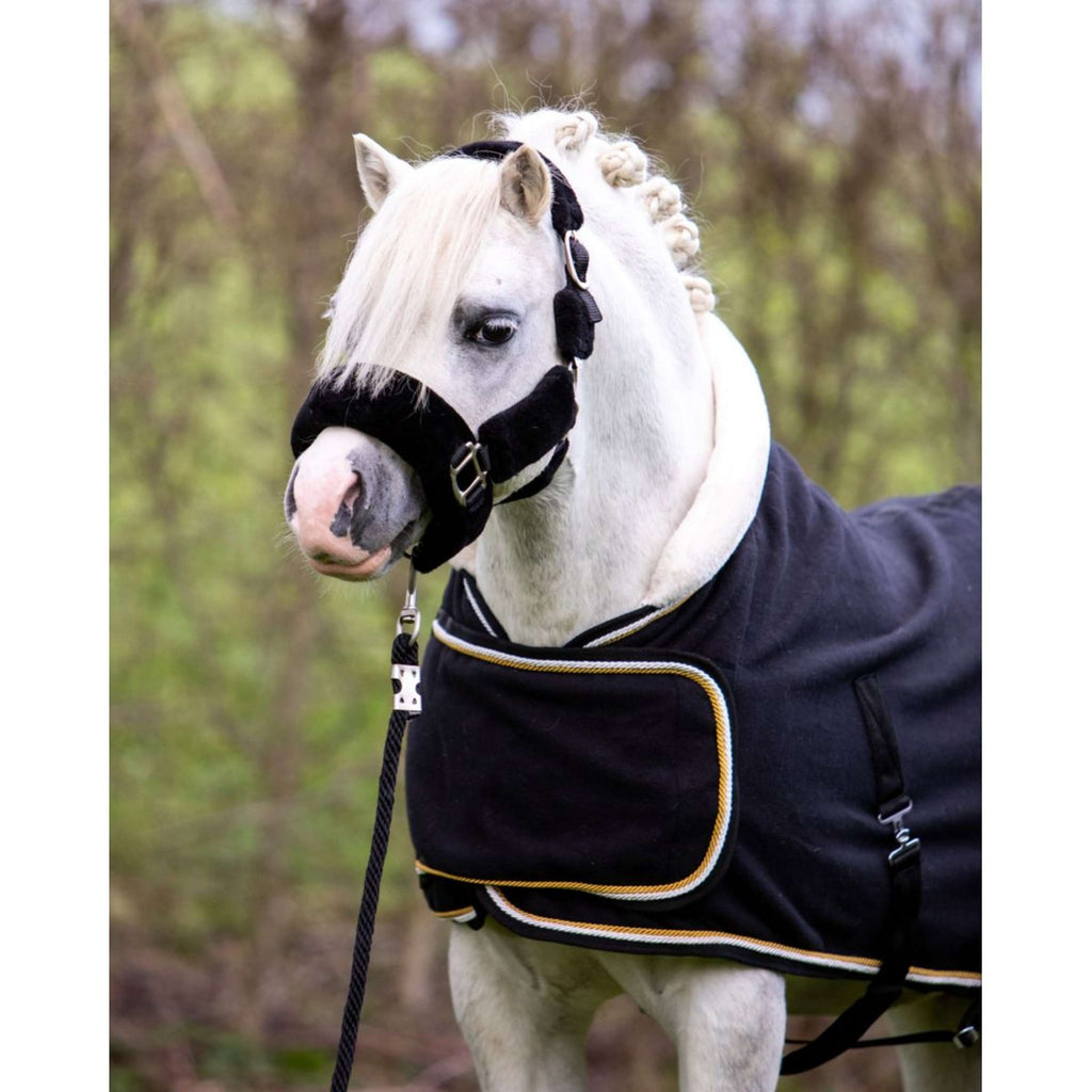 HB Coperta da esposizione Dutch Crown Little Sizes Nero