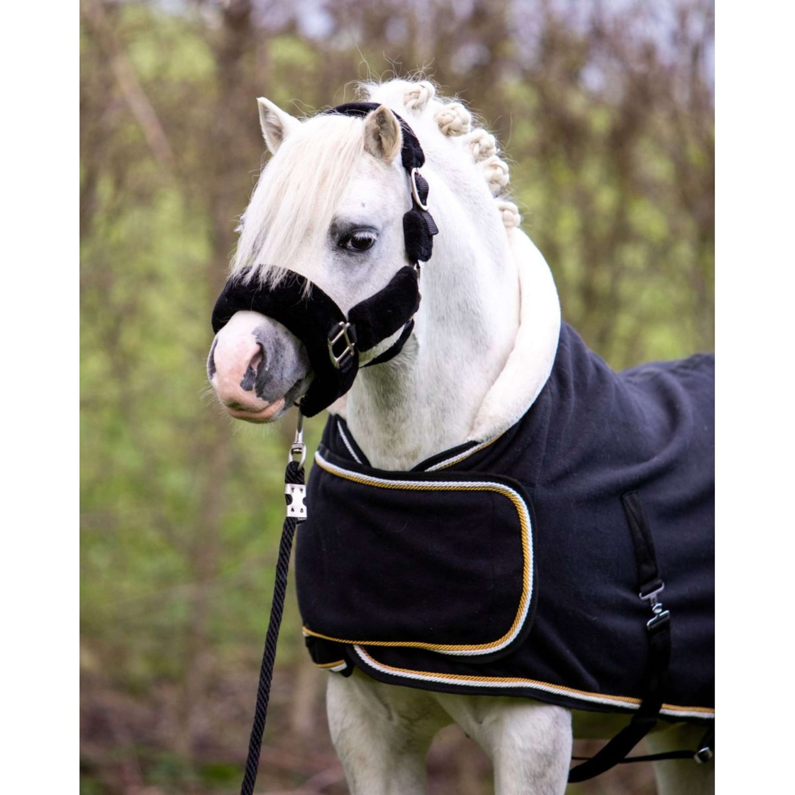 HB Coperta da esposizione Dutch Crown Little Sizes Nero