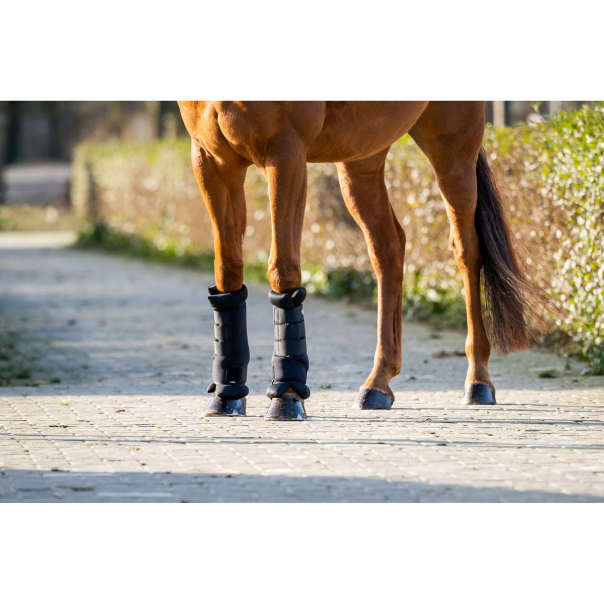 HB Protettori da Scuderia/Trasporto Nero