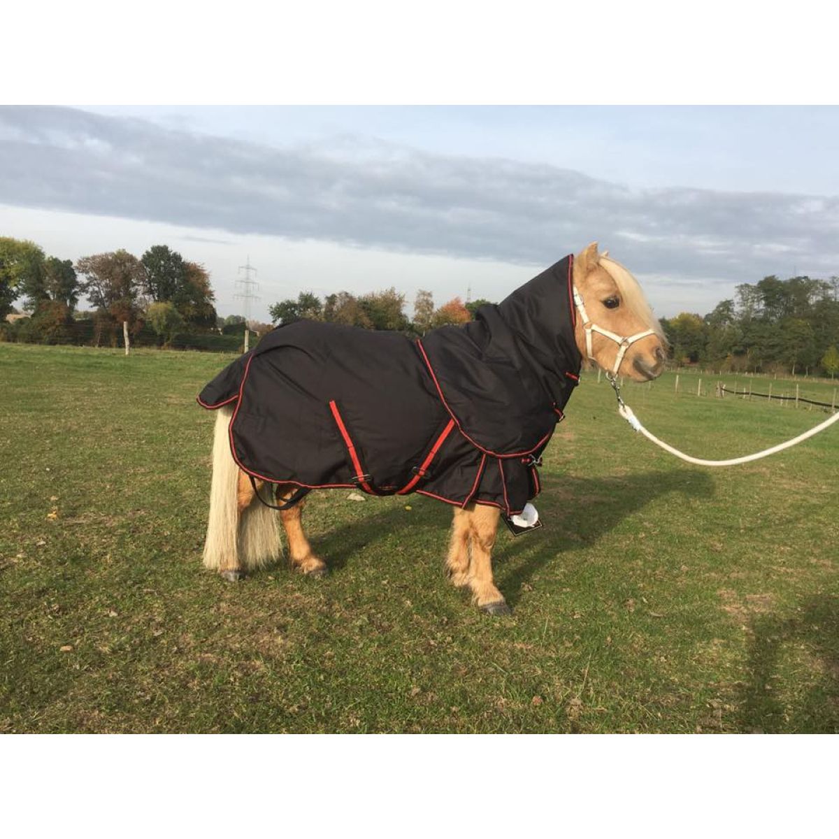 HB Tappeto da Esterno 300g Nero/Rosso