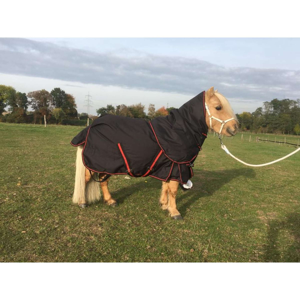 HB Tappeto da Esterno 300g Nero/Rosso