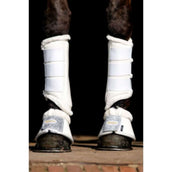 HB Parastinchi Gold Rush Glitter Champagne