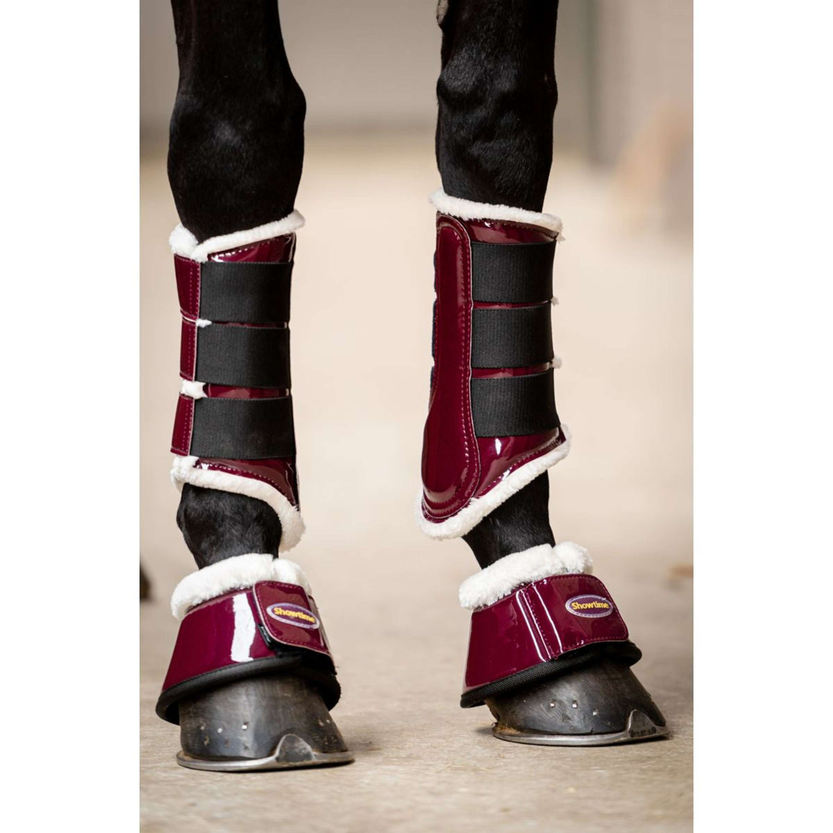 HB Ruitersport Parastinchi Crown Cherry