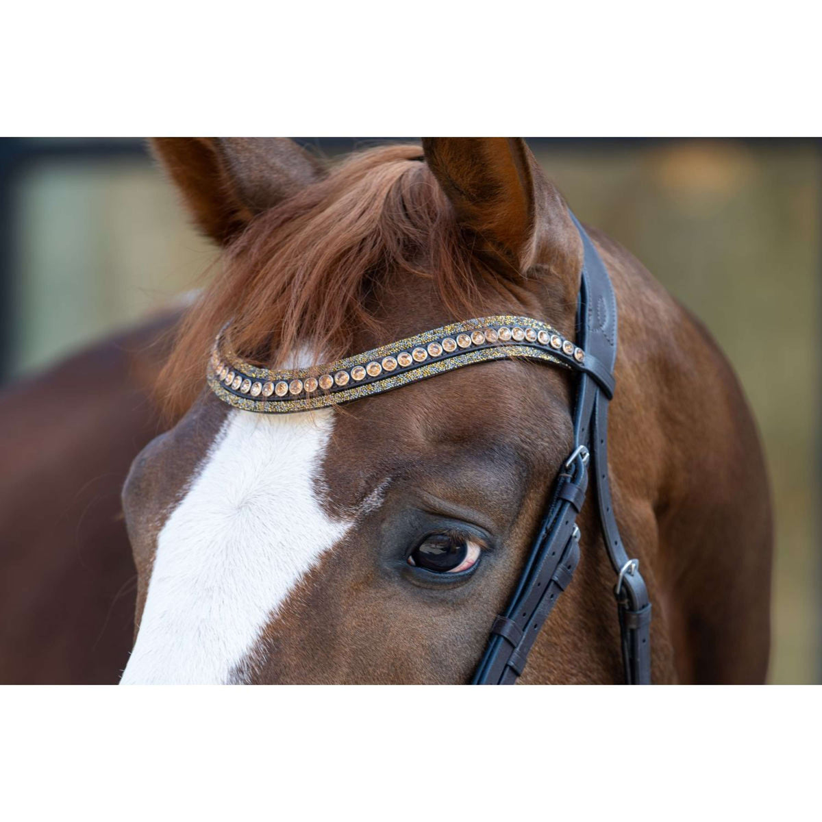 HB Briglia Showtime It is So Special Glitter marrone/dorato