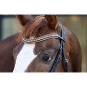 HB Briglia Showtime It is So Special Glitter marrone/dorato