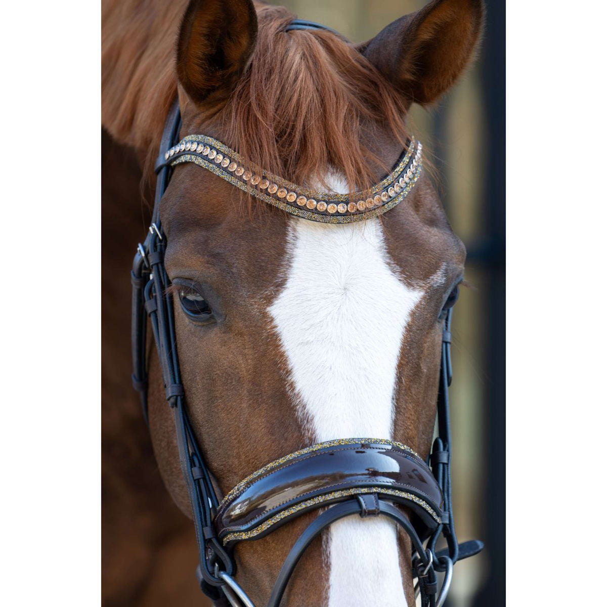 HB Briglia Showtime It is So Special Glitter marrone/dorato