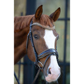 HB Briglia Showtime It is So Special Glitter marrone/dorato