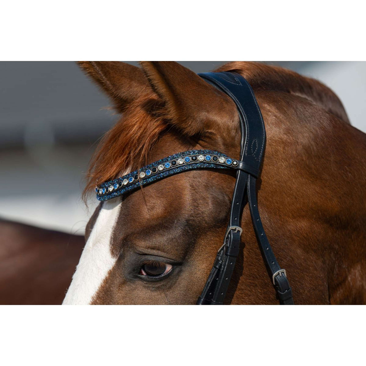 HB Briglia Showtime It is So Special Glitter nero/blu scuro