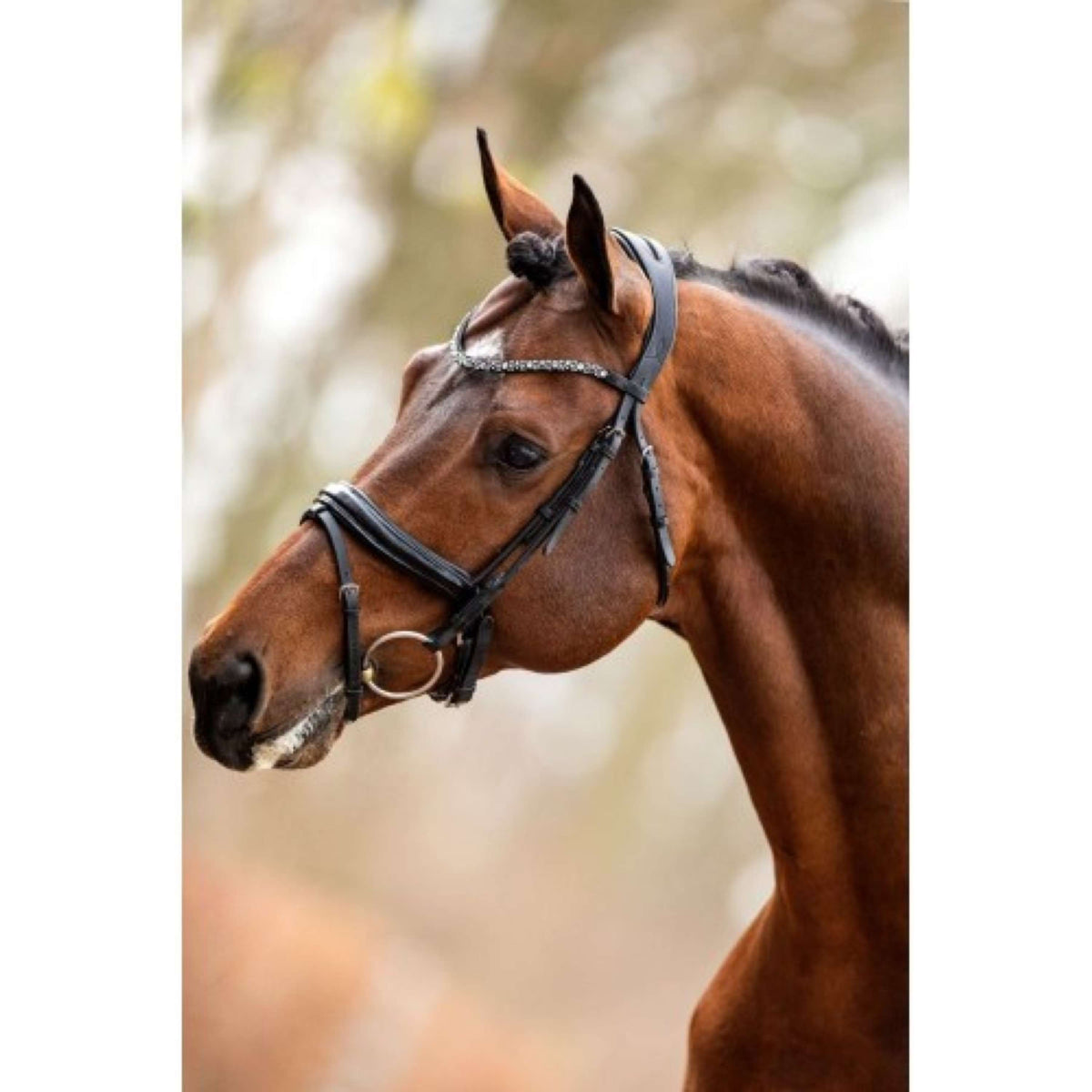 HB Insieme del cappuccio Different Change Marrone