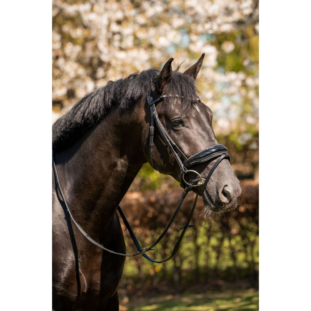 HB Briglia Evalira Glitter Nero/Grigio