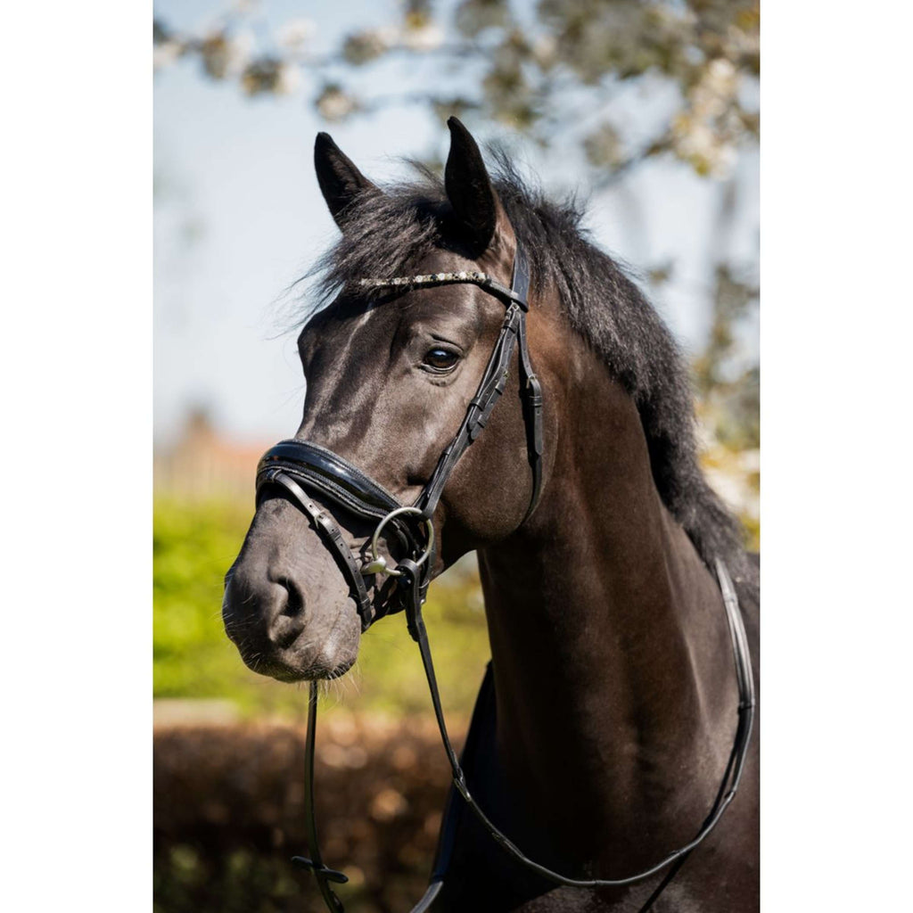 HB Briglia Evalira Glitter Nero/Grigio