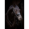 HB Briglia Showtime Evalira Blu/Nero