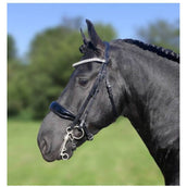 HB Ruitersport Insieme del cappuccio Dream For Ever Nero