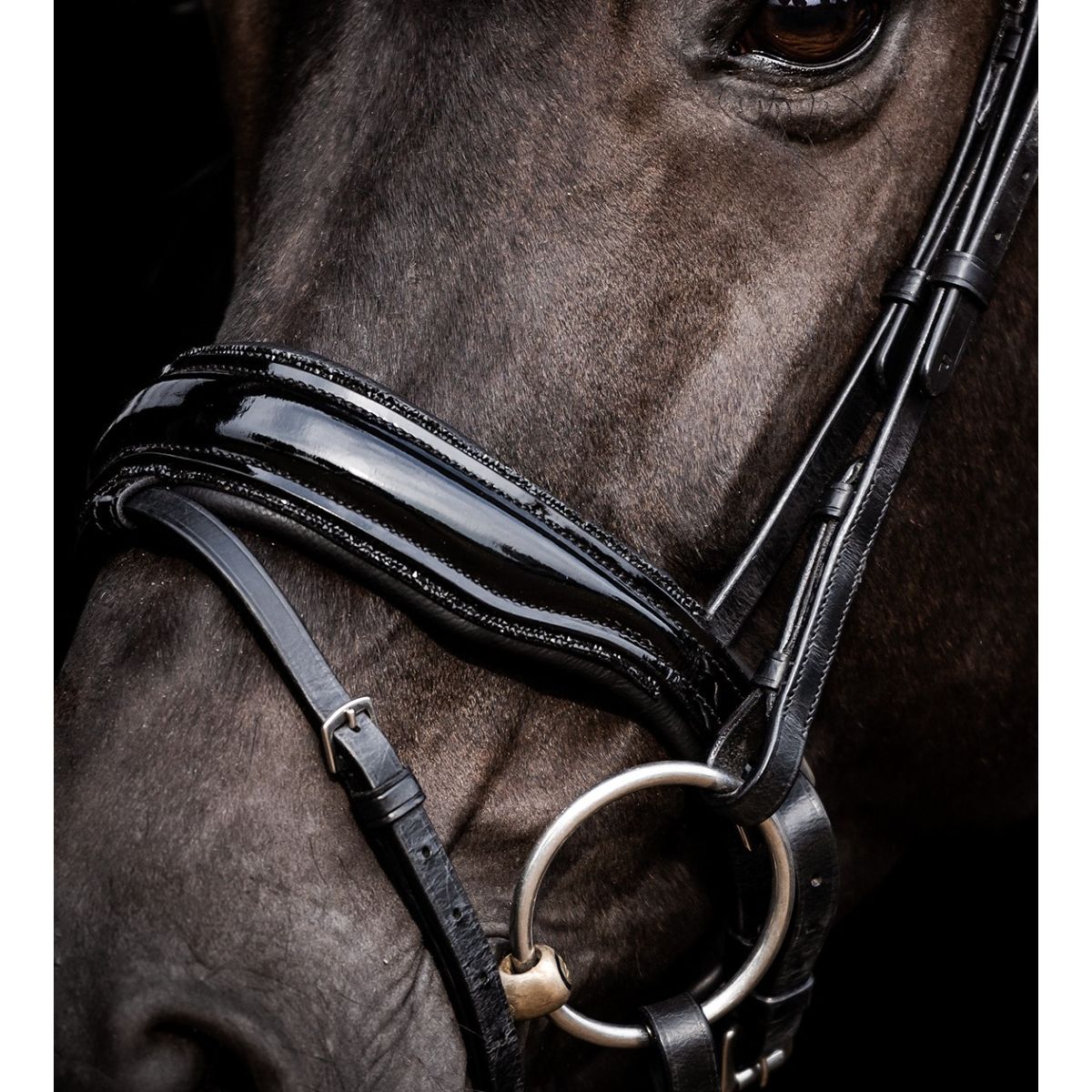 HB Noseband anatomico Showtime Glitter/Nero