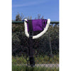 HB Percorso senza preservativo Little Sizes Viola