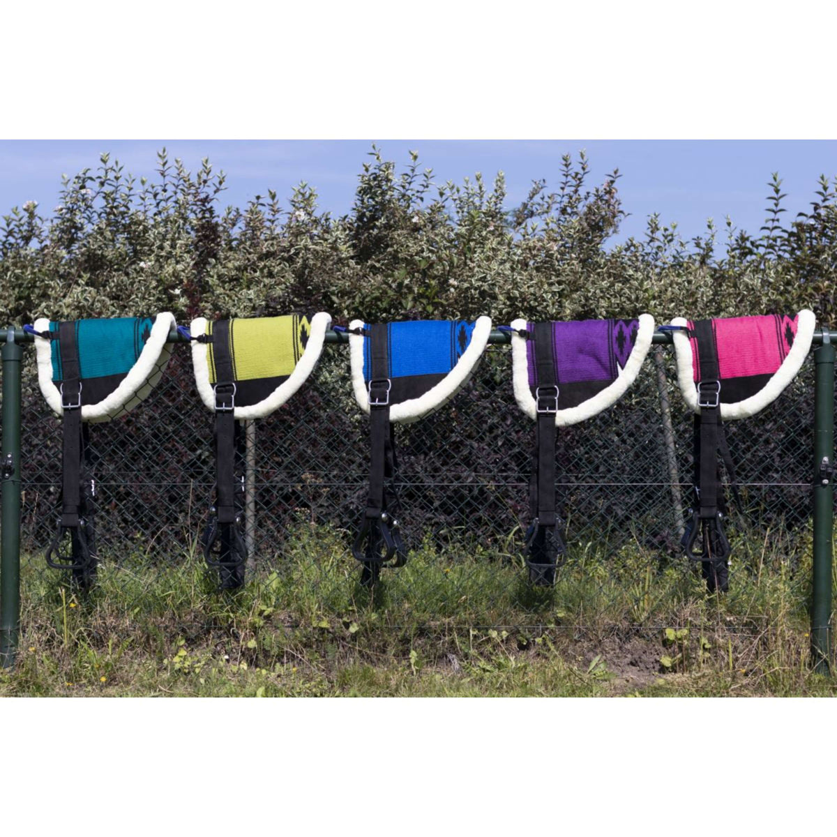 HB Ruitersport Percorso senza preservativo Little Sizes Viola