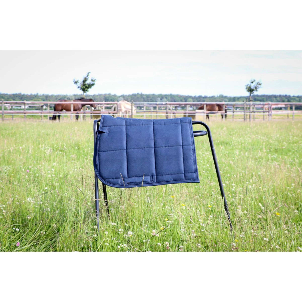 HB Ruitersport Sottosella Shetland Navy