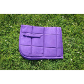 HB Ruitersport Sottosella Shetland Viola